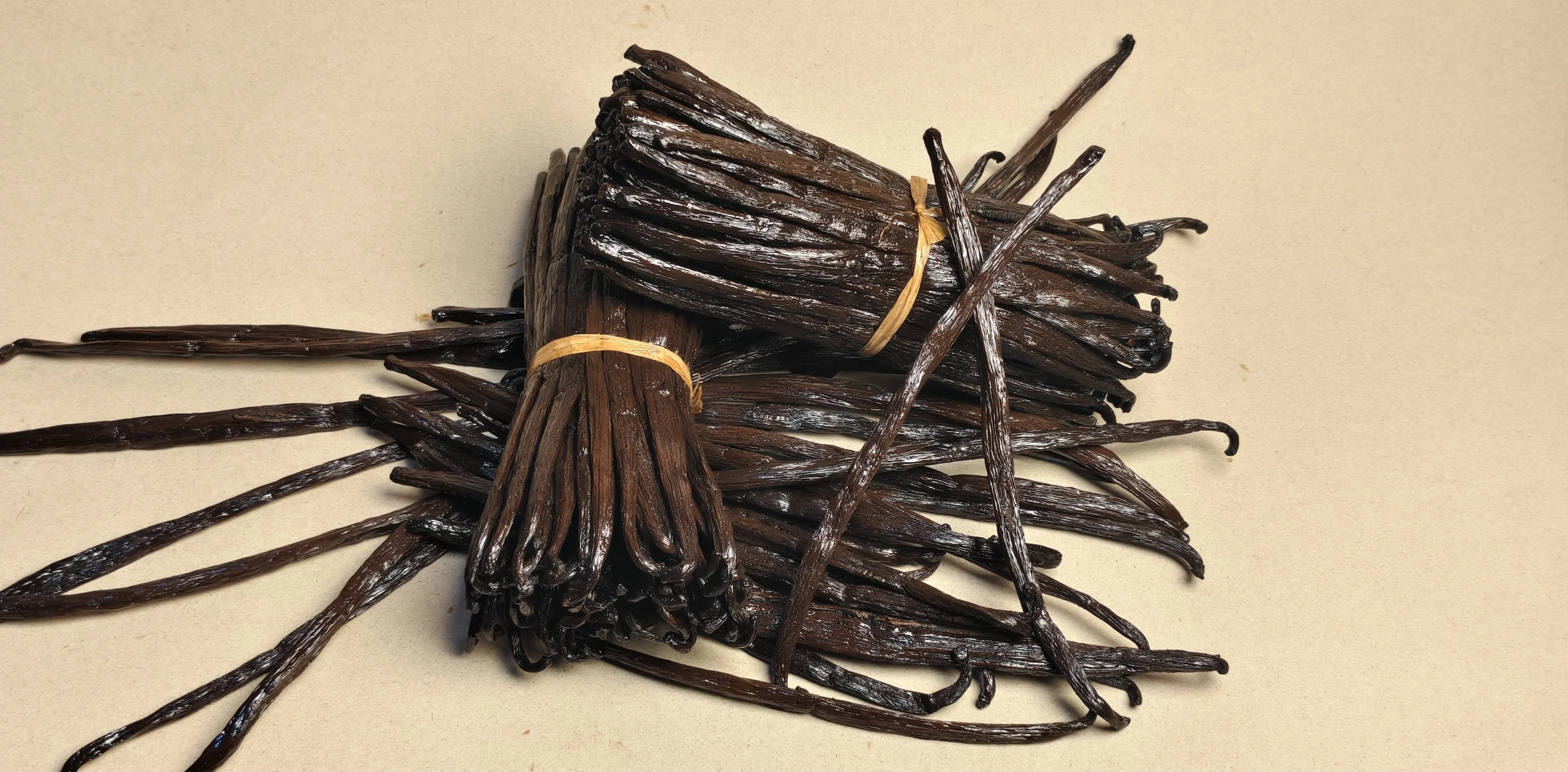 Botte de vanille de Madagascar